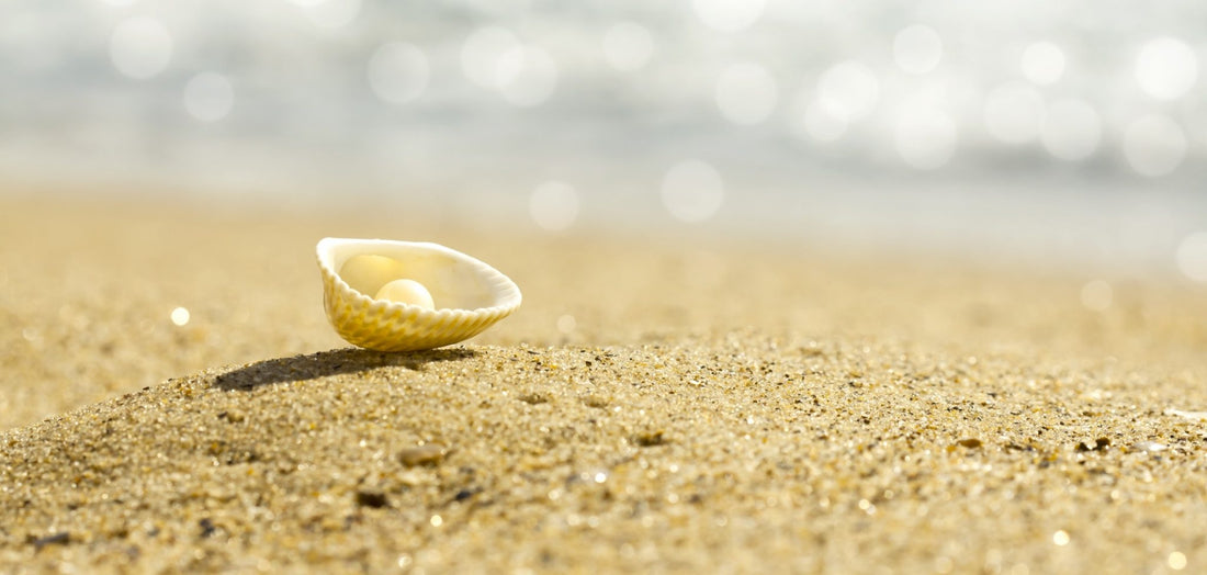 Sustainable Pearl Farming: Raising Baby Oysters