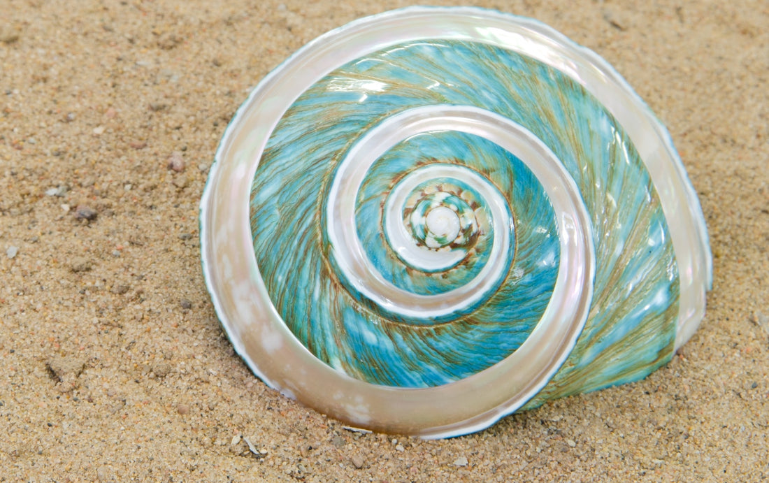 What Are Blister or Mabe Pearls?