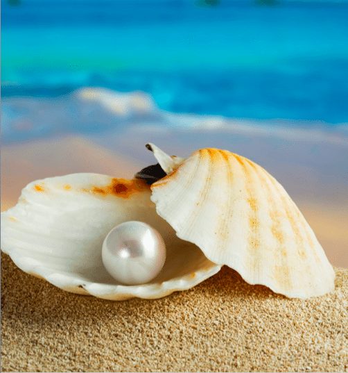 pearls in clam shell