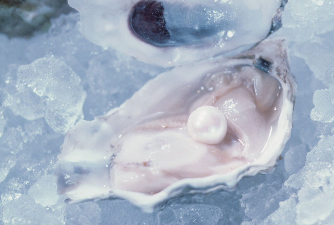 Pearl Processing & Treatments: What Happens after Harvesting?