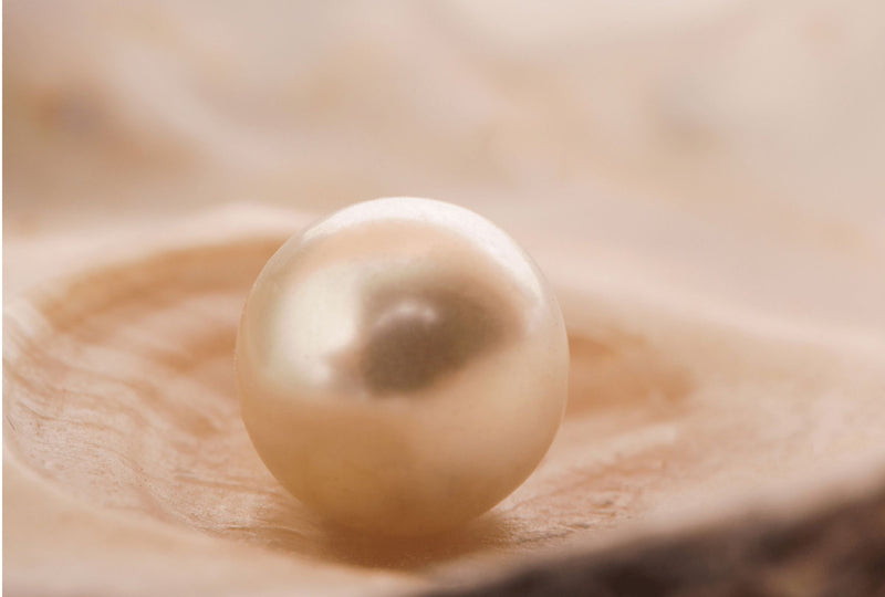 J.K. Rowling: The Pearl of Storytelling