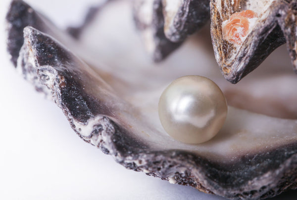 Theresa May: A Shining Example of Grit