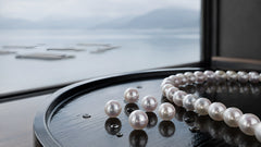 Why Are Akoya Pearls So Lustrous? The Cold Water Secret Behind Japan's Signature Pearl