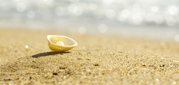 Sustainable Pearl Farming: Raising Baby Oysters