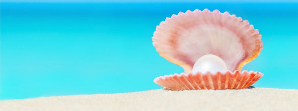 Embrace Optimism, Energy and Warmth with Living Coral, the Pantone Color of 2019