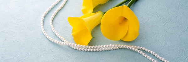 Alexis’ Heirloom Pearl Necklace: Chapter 5