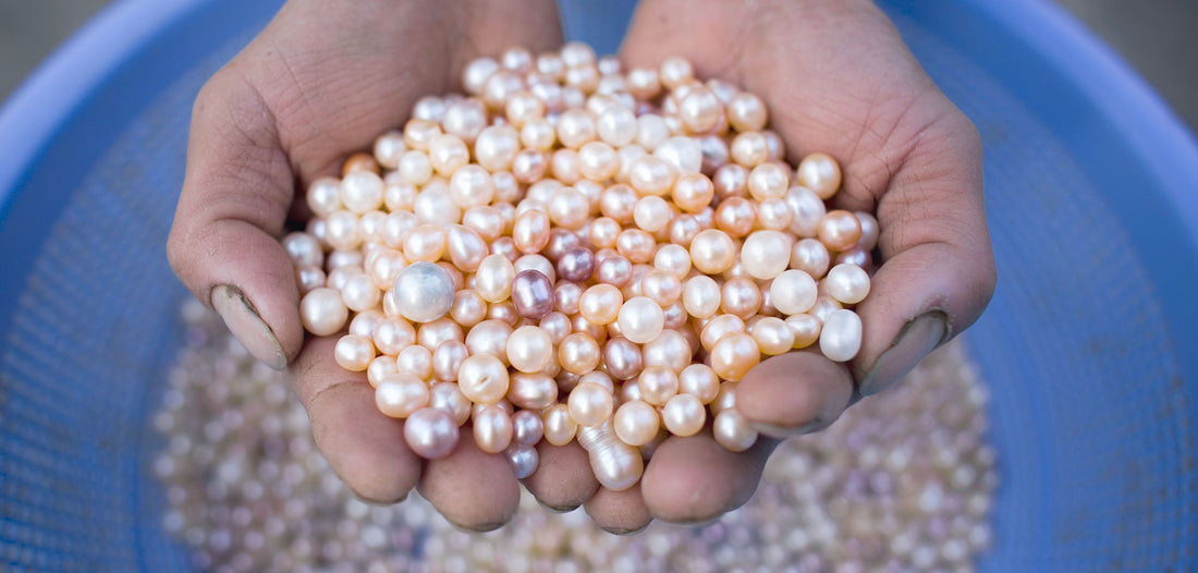 Pearl Farming History: The Good, the Bad, and the Ugly