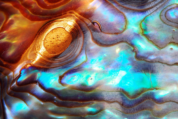 Pearl Symbolism in Art