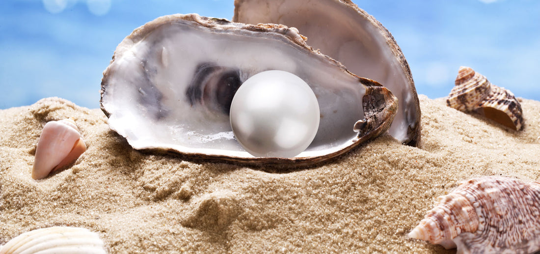 Pearls and the Environment: Uses of Pearl Farming Byproducts