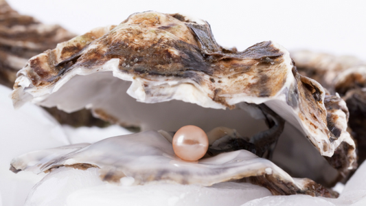 The Pearl Farming Ecosystem: How Pearl Farming Helps the Environment